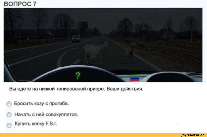 Едешь вопрос. Билет ПДД С козами. Вопрос ПДД С козой. Вопросы ПДД С подвохом. Козу с прогиба.